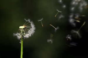 life and death