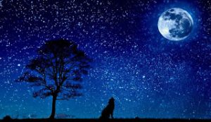 https://rnjnkmr.blogspot.com/2019/01/Vvk-hindi-poetry-jab-bhi-koi-chand-ko-tanha-likhta-hai.html