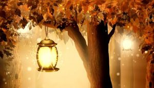 lantern