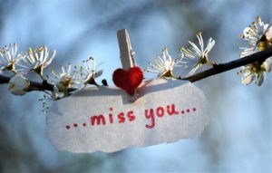 miss you