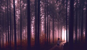 lost boy