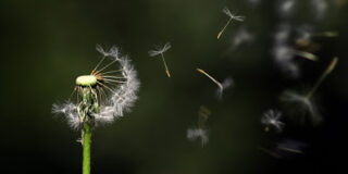 life and death